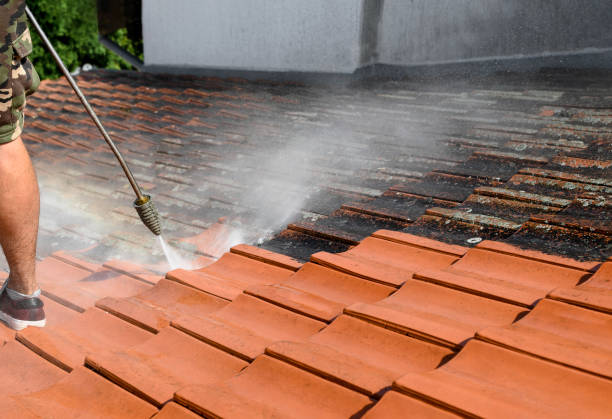 Best Deck Pressure Washing  in Osceola, WI
