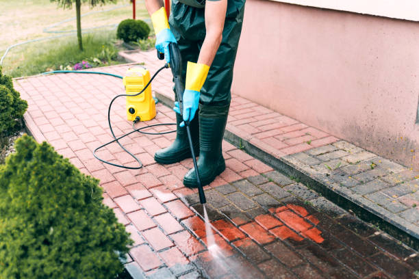 Best Pressure Washing Near Me  in Osceola, WI