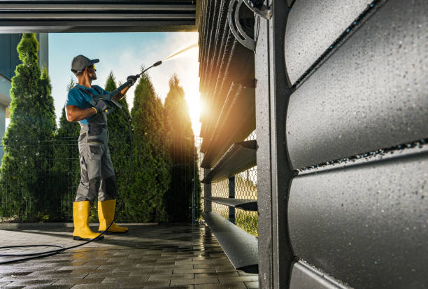 Best Affordable Pressure Washing  in Osceola, WI