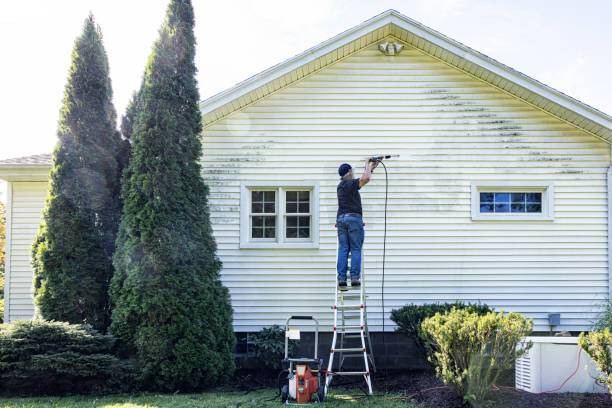 Best Sidewalk Pressure Washing  in Osceola, WI