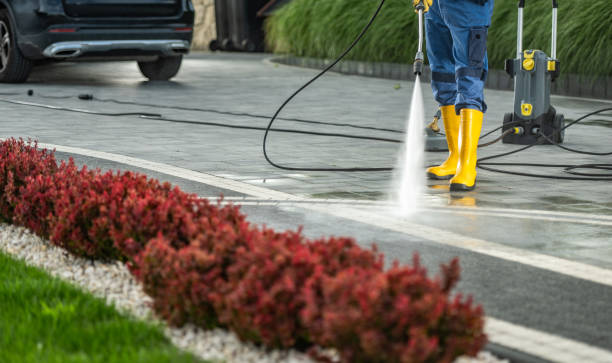 Best House Pressure Washing  in Osceola, WI
